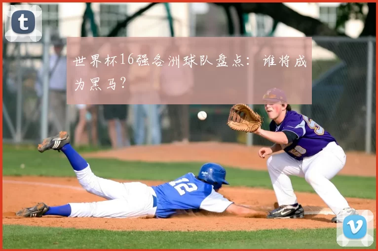 世界杯16强各洲球队盘点：谁将成为黑马？