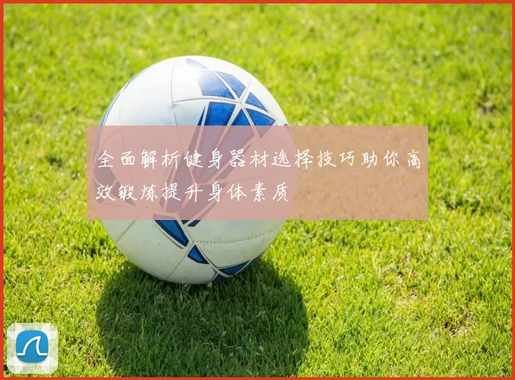 全面解析健身器材选择技巧助你高效锻炼提升身体素质