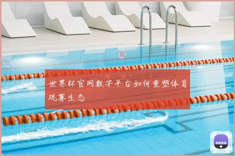 世界杯官网数字平台如何重塑体育观赛生态