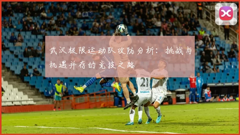 武汉极限运动队攻防分析:挑战与机遇并存的竞技之路