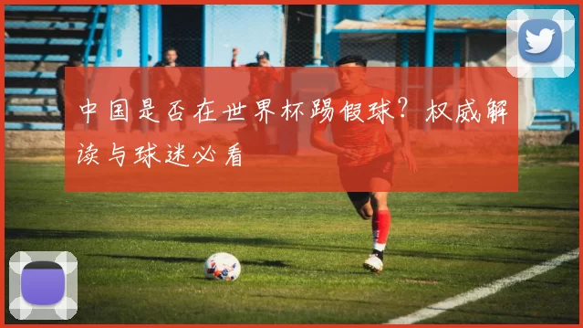 中国是否在世界杯踢假球?权威解读与球迷必看