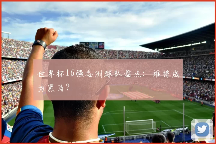 世界杯16强各洲球队盘点：谁将成为黑马？