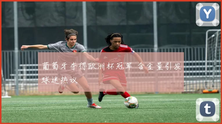 葡萄牙夺得欧洲杯冠军 含金量引发球迷热议