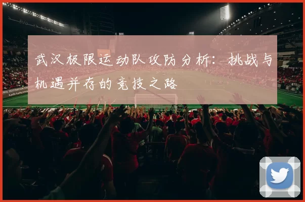 武汉极限运动队攻防分析:挑战与机遇并存的竞技之路