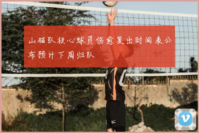 山猫队核心球员伤愈复出时间表公布预计下周归队