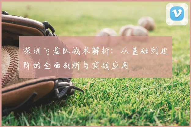 深圳飞盘队战术解析：从基础到进阶的全面剖析与实战应用