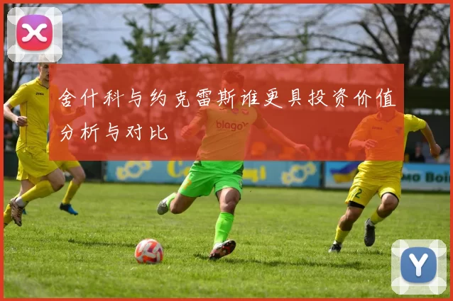 舍什科与约克雷斯谁更具投资价值分析与对比
