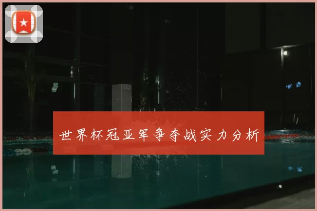 世界杯冠亚军争夺战实力分析