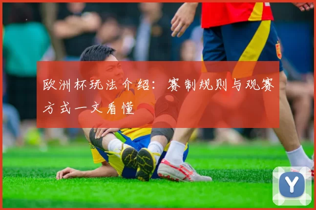 欧洲杯玩法介绍：赛制规则与观赛方式一文看懂