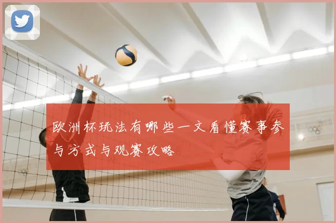 欧洲杯玩法有哪些一文看懂赛事参与方式与观赛攻略