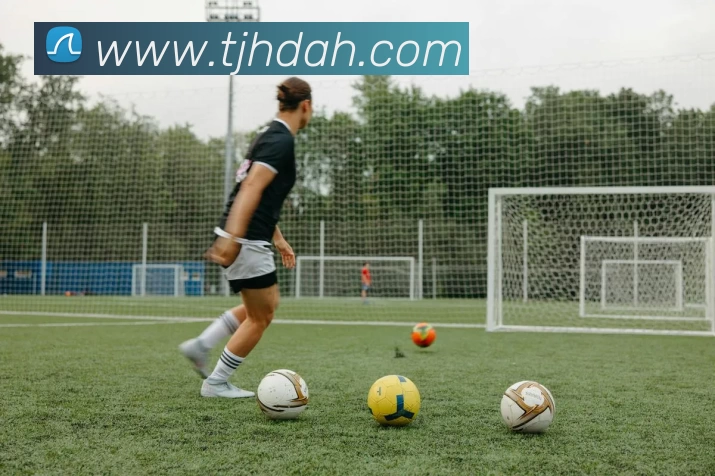 华体官网登录平台生态图